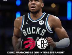 字母哥狂砍迎来胜利分，猛龙迎来新赛季高光！